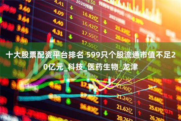 十大股票配资平台排名 599只个股流通市值不足20亿元_科技_医药生物_龙津